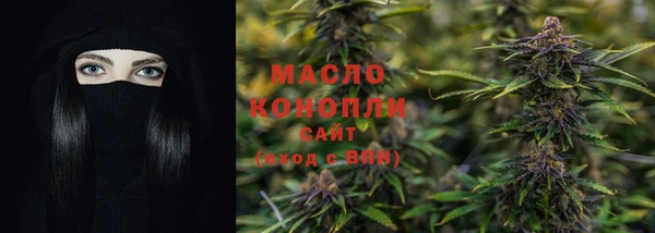индика Лабытнанги
