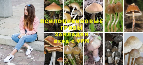 хмурый Абдулино