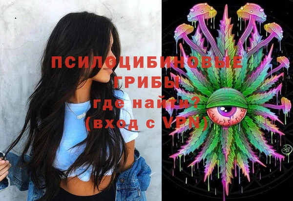индика Лабытнанги