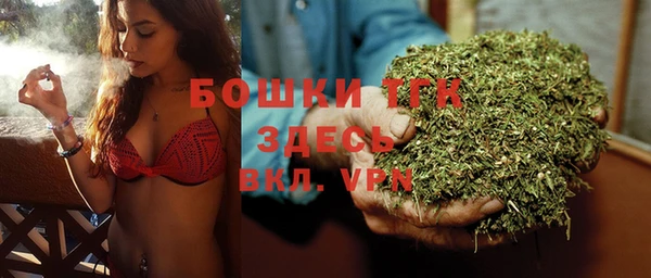 гашик Лагань