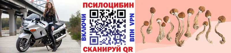 Псилоцибиновые грибы мухоморы сколько стоит mega рабочий сайт Усолье